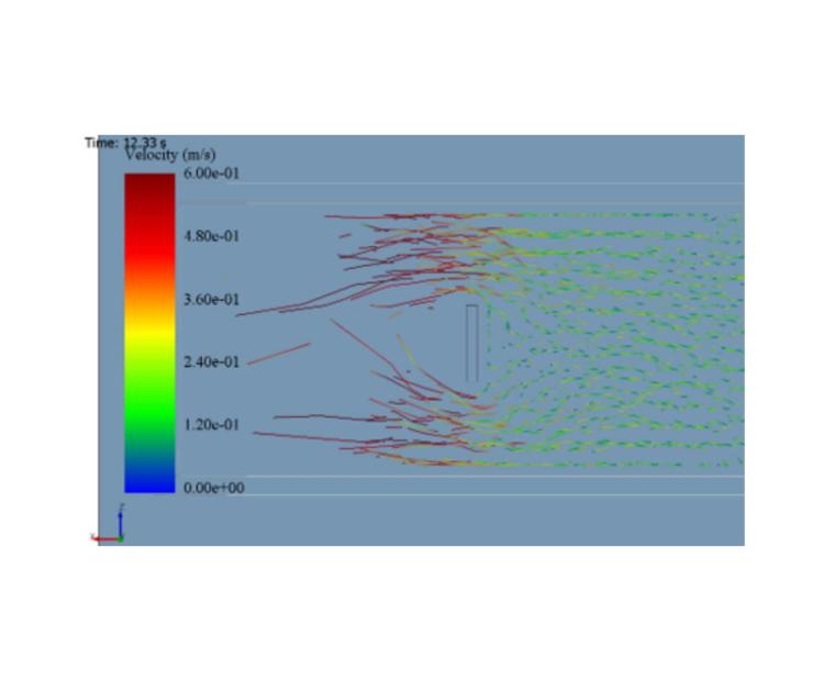 Simulation numérique IRT M2P